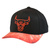 Chicago Bulls