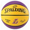 Basketball Backboard MASTER 90 x 60 cm + Spalding NBA LAL Ball