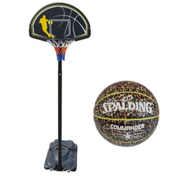 Portable Basketball stand MASTER Street 305