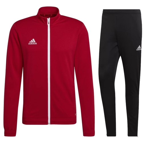 Adidas Tiro 19 Jogginghose - D95951