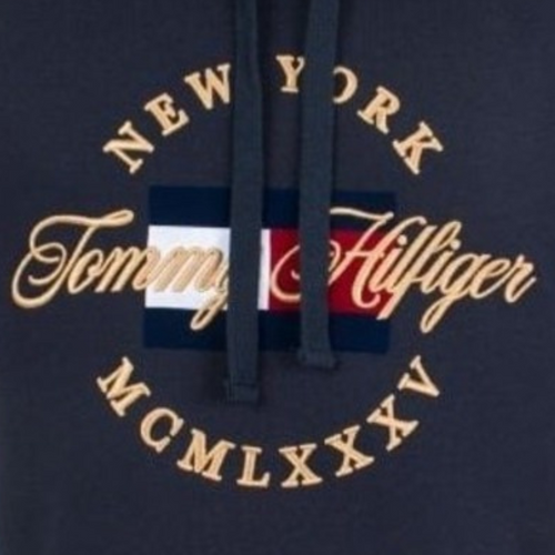 Tommy Hilfiger Icon Artwork Hoody - MW0MW10064-403