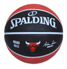 Portable Basketball stand MASTER Street 305 + Spalding Chicago Bulls	