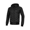 The PitBull Roxton men's sporty transitional jacket.