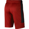 Air Jordan Dri-FIT Air Basketball Shorts - CD5064-687