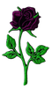 Rose Thermal Patch