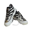 Buty męskie sportowe koszykarskie Adidas Top Ten 2010 White Black - HR0099