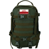 Plecak wojskowy taktyczny Wisport Sparrow 30 L Custom Patriotic